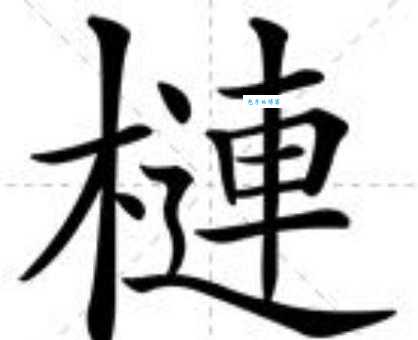 连的组词怎么选？根据语境选对组词很重要