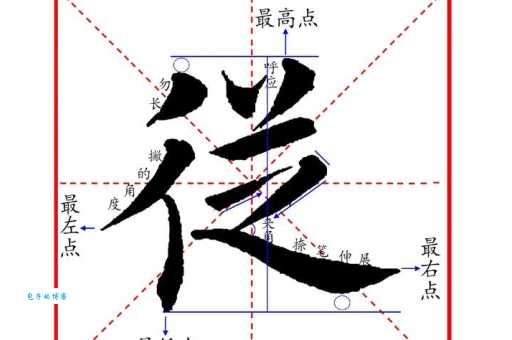 从的组词 从的组词