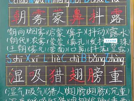 父组词怎么用？生活场景实例来教你！