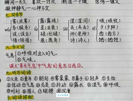 带组词语在写作中咋用?写作达人分享经验