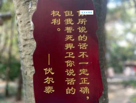 想知道严阵以待的待啥意思？这里给你详细解答