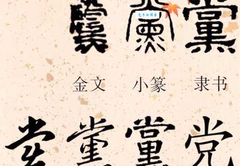 党组词怎么搭配？这些组合很常见