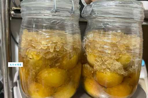 白糖梅子真稀奇打一食物是什么?看这里找真相! 白糖梅子真稀奇打一食物是什么?看这里找真相!