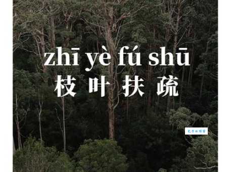 枝叶扶疏解释有啥用?了解后好处多多!