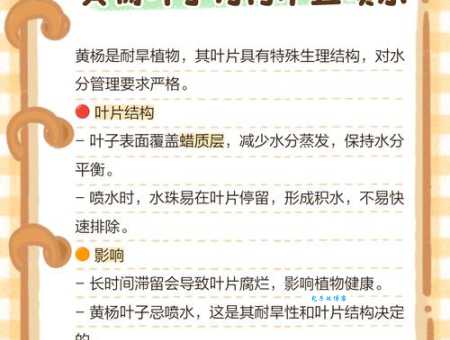 枝叶扶疏解释有啥用?了解后好处多多!