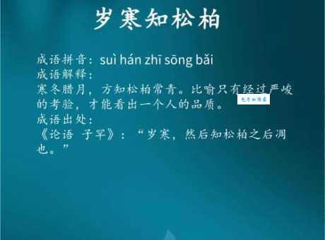 岁寒知松柏如何解释？通俗讲解在这里！
