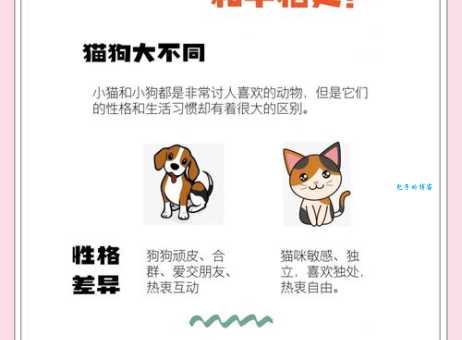 想知道猫狗像什么打一成语吗？快来一探究竟！