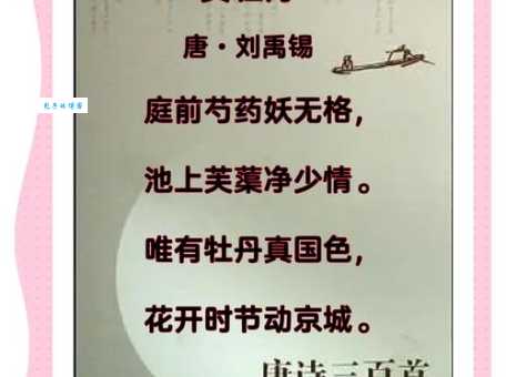 一朝选在君王侧打一花卉,答案究竟是啥?