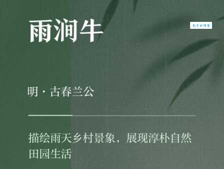 牛毛细雨解释有啥门道？专家来给你说道！