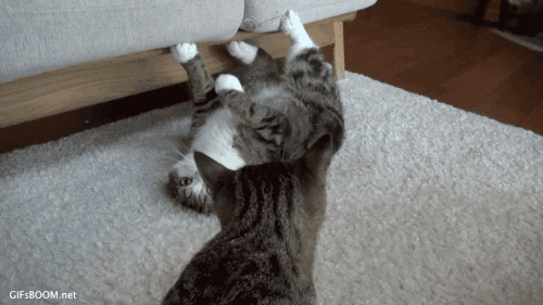 扭捏作态啥意思？结合场景给你讲透彻