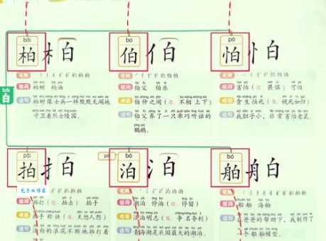 想知道瓣的拼音正确读法？这里给你讲明白！