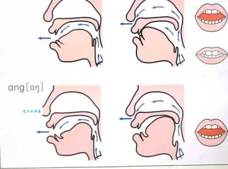 点头的拼音怎么读 快来看看正确发音! 点头的拼音怎么读 快来看看正确发音!