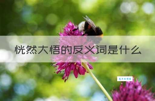 搞不懂候的拼音?看完这篇恍然大悟!