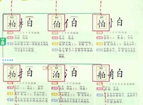 搞不清瓣的部首?看完这篇给你讲明白
