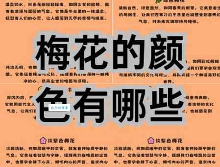 想知道梅开二度啥意思？看完这篇就懂了！