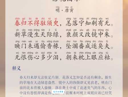 夜夜看落花打一礼貌用语是什么？快来看答案！