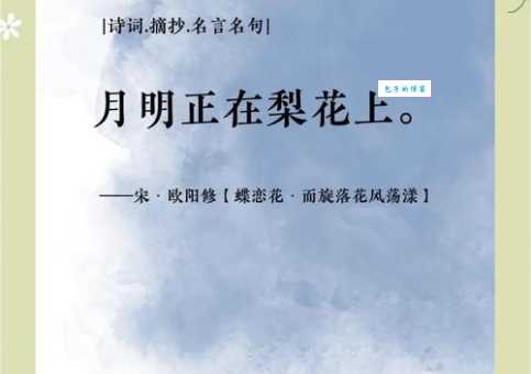 夜夜看落花打一礼貌用语是什么？快来看答案！