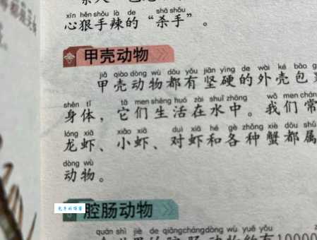 想知道羣怎么读？这里有简单易懂的读音讲解