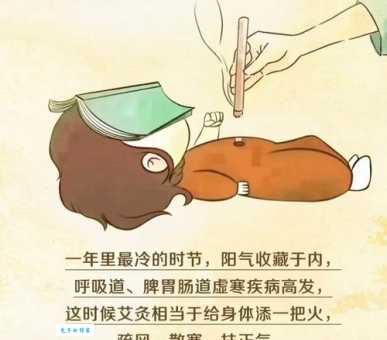 三九严寒何所惧打一植物 你能猜对这个谜底吗?