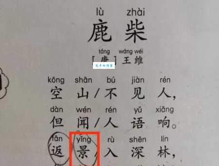 景的部首是什么?一文带你快速了解汉字部首