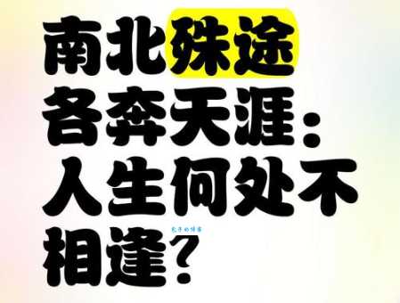 千里相逢打一字答案是啥?揭晓谜底别错过!
