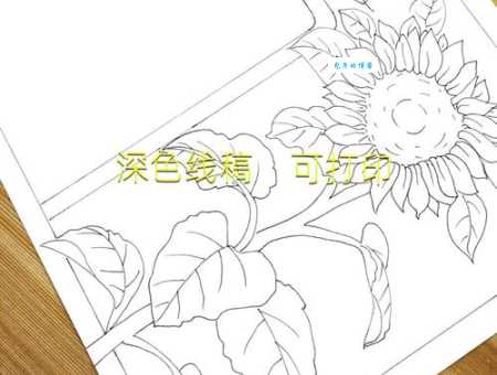 向日葵打一地名 向日葵打一地名