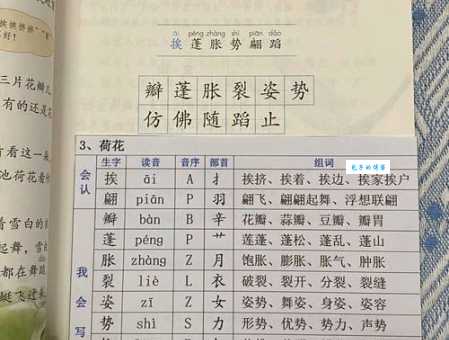 隙意思是什么?弄清楚读音和部首很关键!