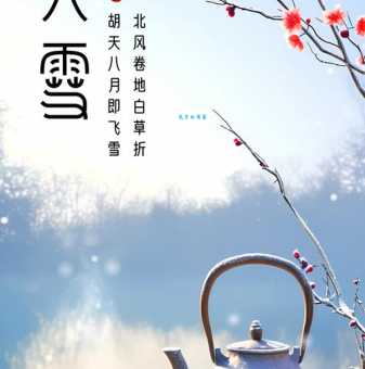 冰雪半融打一节气