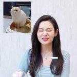 郭洋子个人资料：她现在做什么工作？（最新动态揭秘）