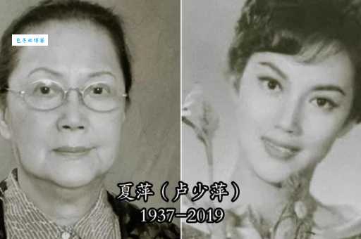 夏萍个人资料简介:她演过哪些经典角色?资深影迷带你回顾一生!