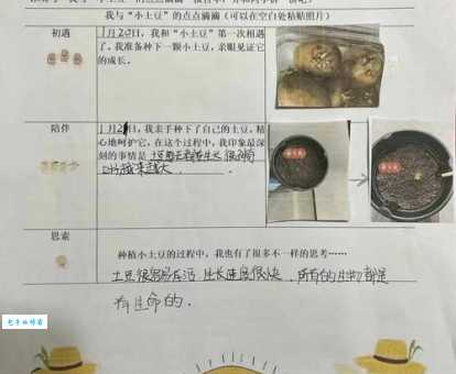 薯童谣剧情介绍是什么?一分钟带你了解全部故事! 薯童谣剧情介绍是什么?一分钟带你了解全部故事!