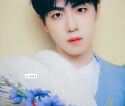 魏宏宇个人资料家庭背景如何？揭秘他的出道经历！