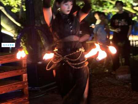 夏晴子个人简介为什么这么火?深入了解她的背景和故事!