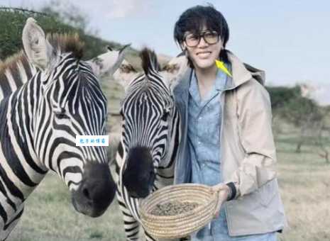 王红权个人资料更新了吗?最新动态和资产盘点! 王红权个人资料更新了吗?最新动态和资产盘点!