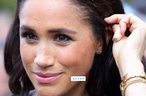 梅根王妃个人资料哪里找?(最全简介一文看懂) 梅根王妃个人资料哪里找?(最全简介一文看懂)