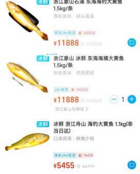 哪里能找到黄金鱼剧情介绍?超详细版本快收藏!