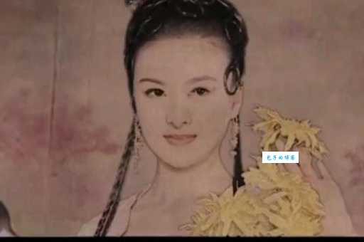 画壁的演员表详细介绍！主演背景关系大揭秘！