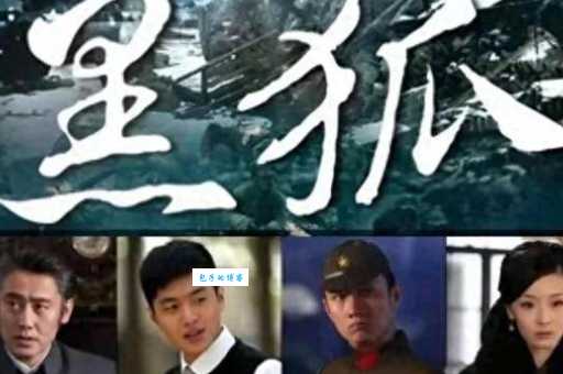 黑狐电视剧剧情介绍:4个重要隐藏细节你一定都没发现!