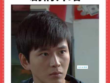 婚巢各集剧情怎么样？婚巢分集介绍带你了解！