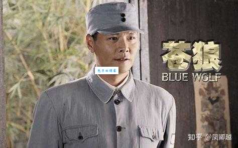 雪豹分集剧情介绍哪个片段最精彩 (精彩集数推荐)