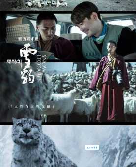 雪豹分集剧情介绍哪个片段最精彩 (精彩集数推荐)