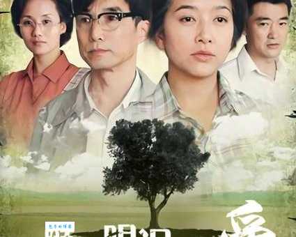 一颗颗眼泪都是爱剧情介绍分集详解，男女主角最终走到一起了吗