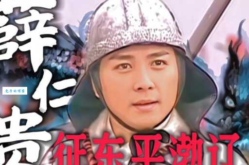 薛仁贵剧情介绍全集解析(从头到尾看完经典故事脉络)