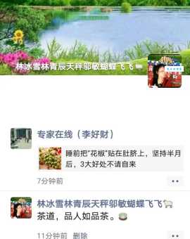 想知道蝴蝶飞飞剧情介绍?老剧迷分享独家深度解析!