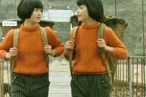 双飞燕双胞胎姐妹的最新消息在哪里看?粉丝必看网站推荐!