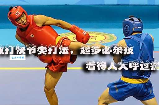 柳海龙vs伊贺弘治赛前分析谁更被看好?中日散打高手实力大对比!