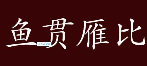 鱼贯雁比的用法有哪些？专家来给你解答