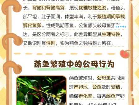 鱼贯雁比的用法有哪些？专家来给你解答