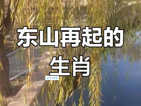 问东山再起对应生肖是啥？听听过来人的看法！
