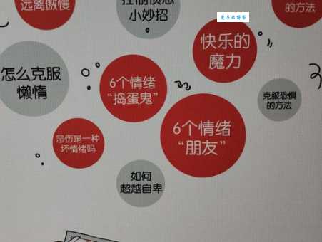 纠结雏怎么读？专业指导让你不再迷茫！